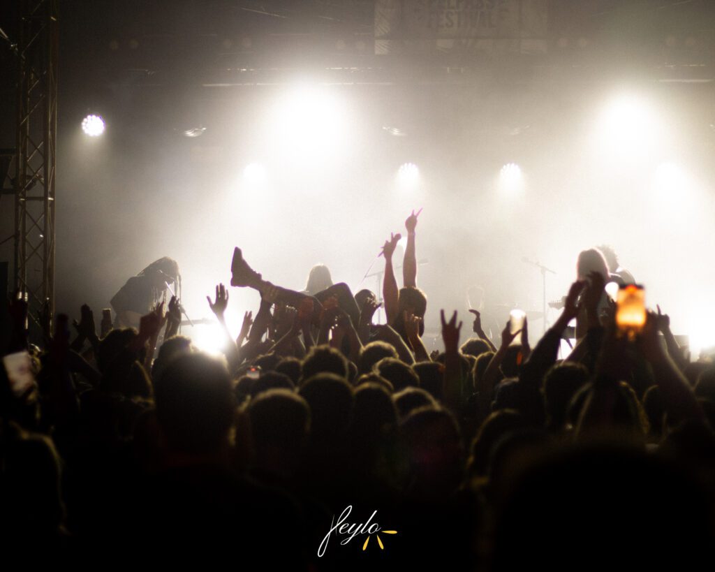 TVOD @Pelpass Festival 2025