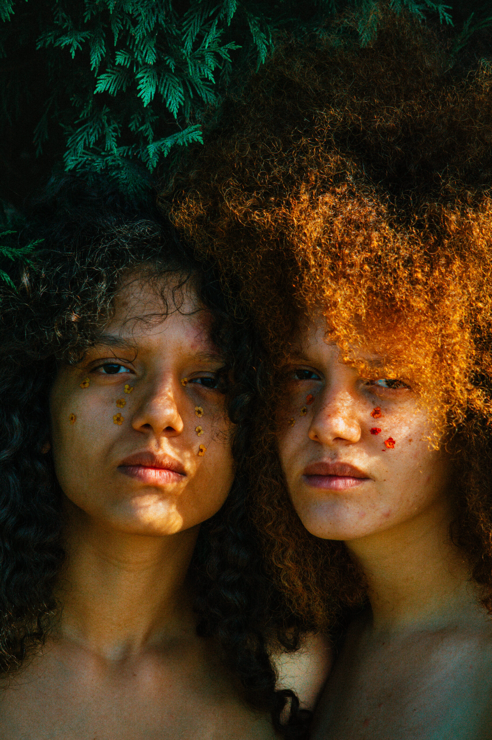 Crédit Léo Ferrera